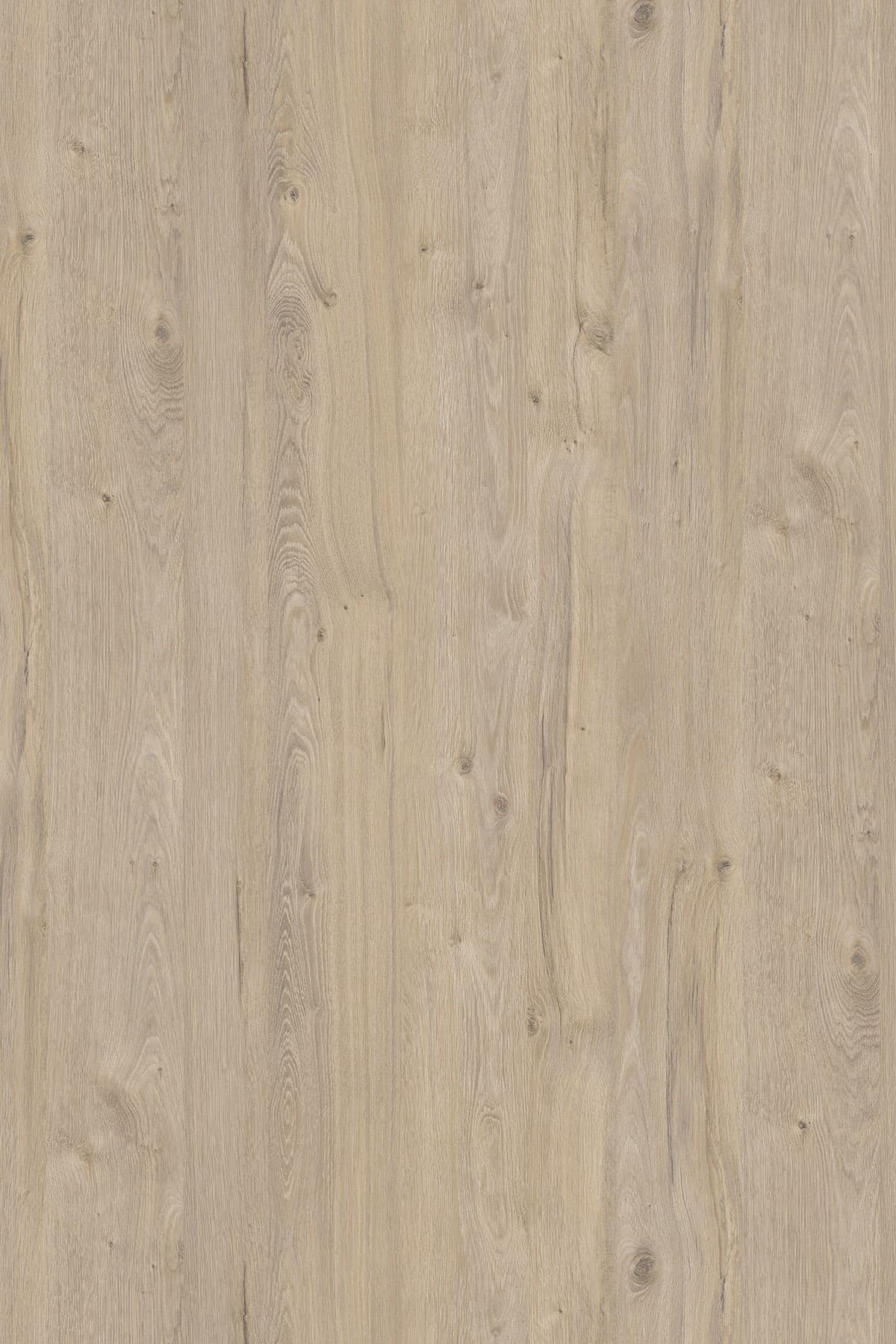 Kronospan Satin Coastland Oak K081 TFL surface pattern